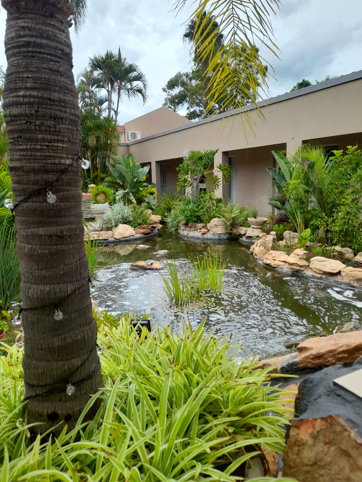 WhatsApp Image 2025-02-16 at 14.37.16 (1)