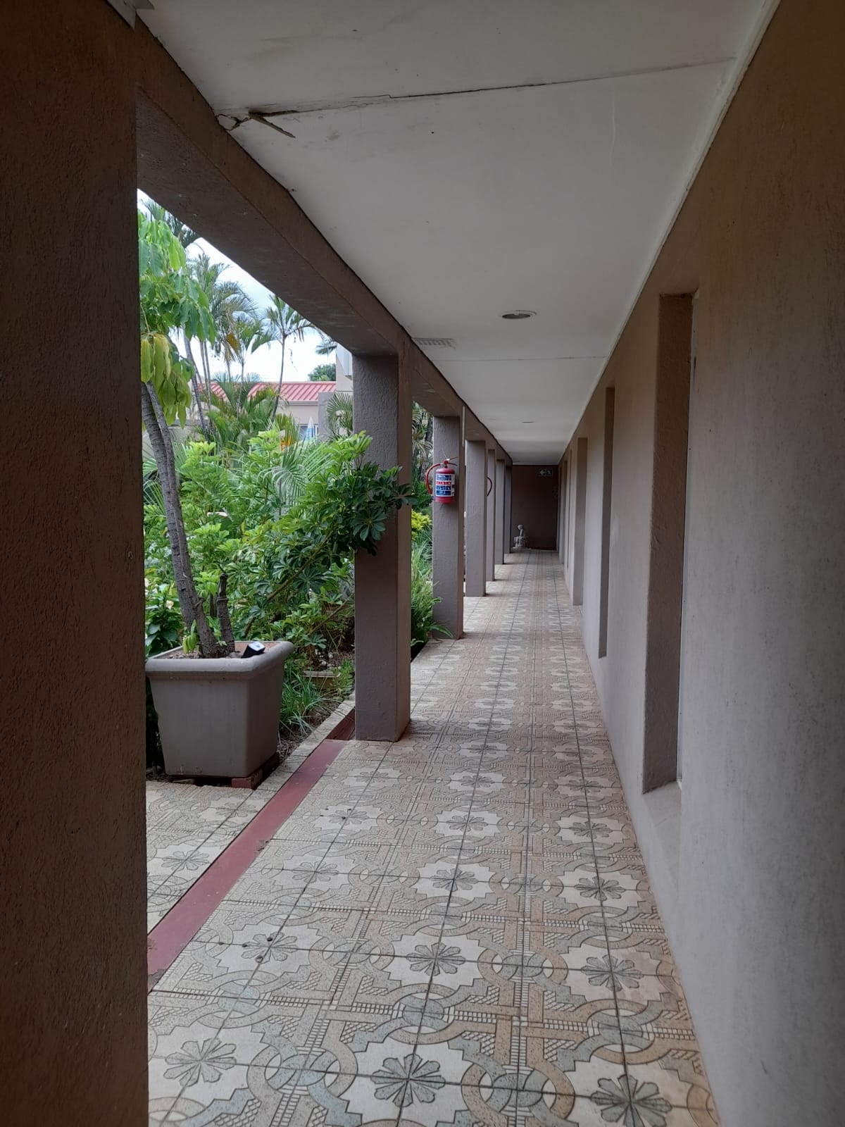 WhatsApp Image 2025-02-16 at 14.37.16